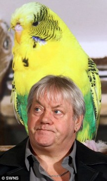 The Pet Detectives (Channel&nbsp;4)